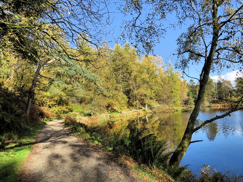 (43) Tarn Howes.JPG